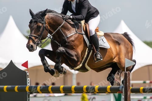 Preview: Horse Jumping, Equestrian Sports, Show Jumping themed photo.