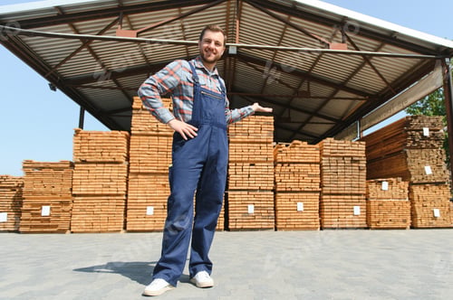 Preview: Portrait of a handsome worker choosing the best wooden boards.