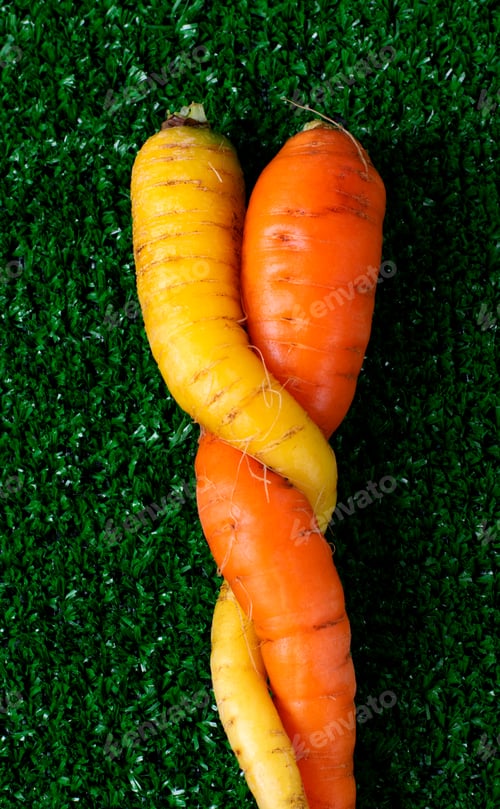 Preview: Two carrots of orange and yellow colors intertwined on green grass. Ugly food