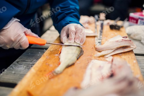 Preview: Close-up of person gutting fish