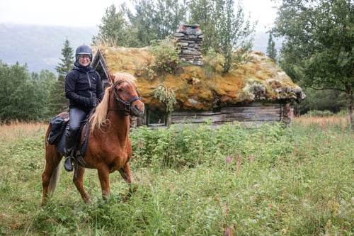 Preview: Caucasian woman riding an Icelandic horse in natural rural area
