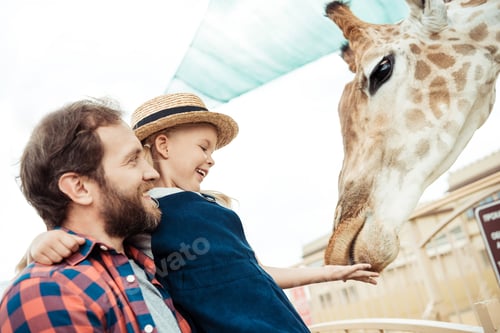 side view of father and happy little daughter feeding giraffe in zoo