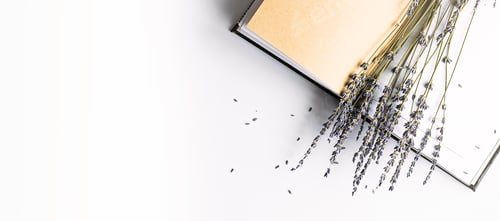 Preview: Dried lavender flowers in open empty notebook on white.