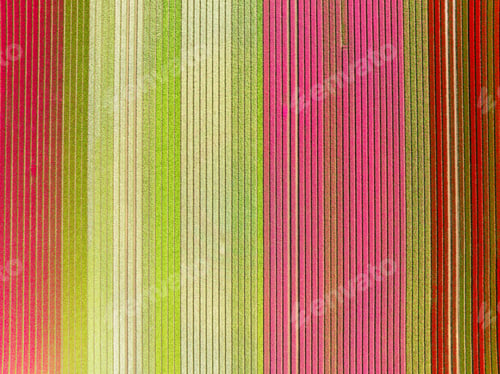 Preview: Tulips field as a background. Field with rows. Aerial view. Nature.