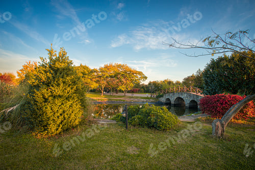 Preview: autumn landscape with a bridge over river