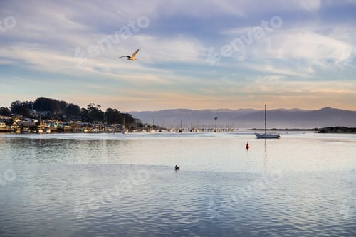 Preview: Landscape in Morro Bay harbor at sunset; California