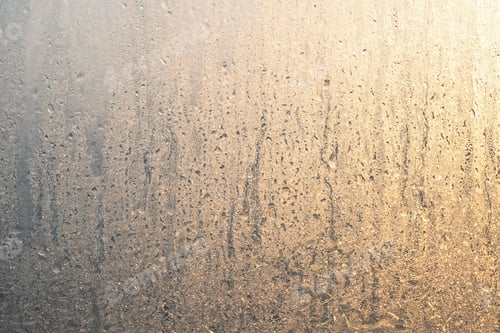 Preview: Frost Pattern and Sunlight on Window.