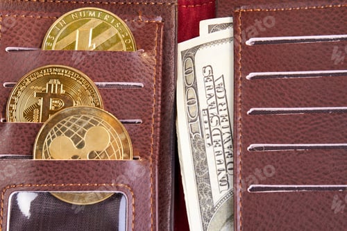 Preview: Close-up wallet with cryptocurrency coins and dollars.