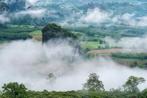 Preview: Landscape image of foggy greenery rainforest mountains and hills