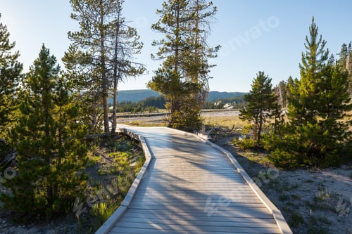 Preview: Boardwalk in Yellowstone