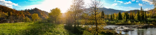 Preview: Panorama of a spruce forest in the mountains near the river