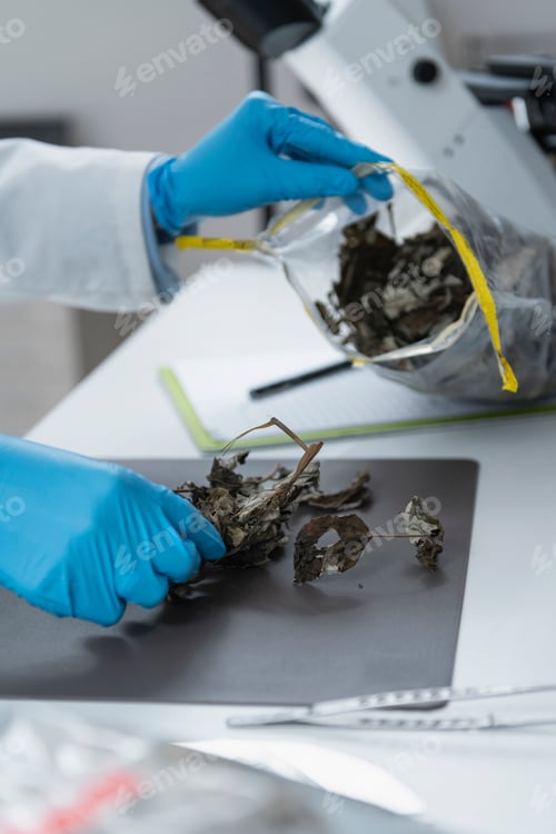 Preview: Organic Certification Process in Laboratory