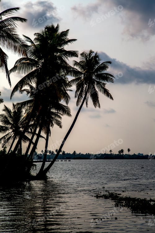 Preview: Kerala, India