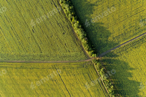 Preview: The scenic dirt road through a farm field. Aerial view.