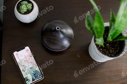 Preview: Overheard view of a cell phone, humidifier and plants on a night stand