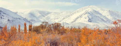 Preview: Autumn in Sierra Nevada