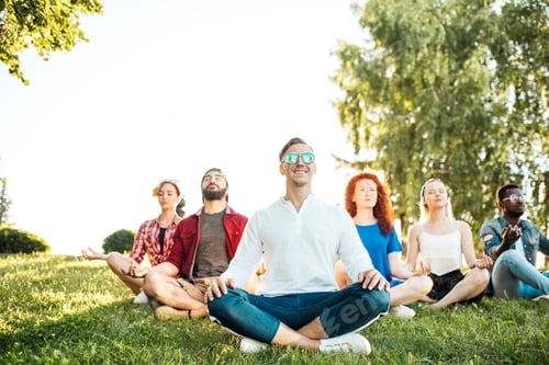 Preview: Group of adult mix-race friends meditating while practice yoga outside in park.
