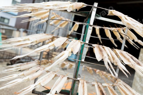 Preview: Drying squid on the stand
