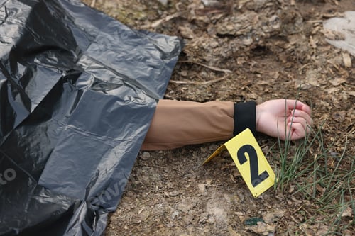 Preview: Forensic expertise. Crime scene with dead man's body and marker outdoors, closeup