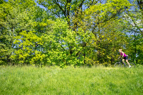 Preview: Woman cycling a mountain bike in city park, summer day