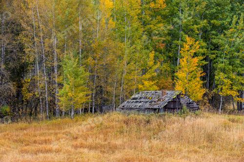 Preview: Autumn in the country.