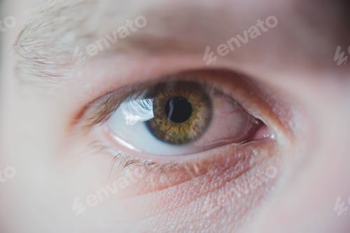 Preview: Closeup shot of a male brown eye