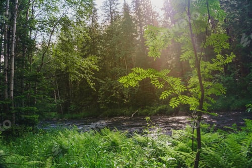 Preview: Mountain Rocks And Slopes Of The Southern Urals. Alpine Meadows In The National Park Taganay