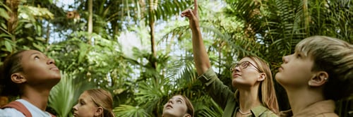 Preview: Botanical Garden Worker Showing Palm Trees To Teenagers