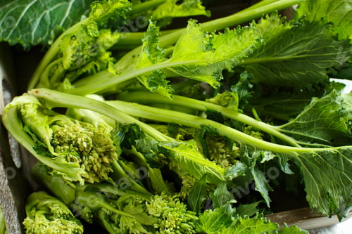 Preview: Turnip greens, Cime Di Rape from Italy