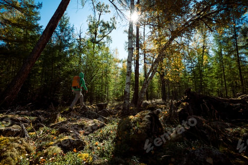 Preview: Hiking in winter forest