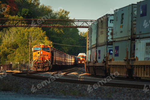 Preview: Freight trains amidst lush greenery in warm sunlight.