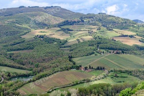 Preview: Rolling hills and lush vineyards of Tuscany under a bright cloudy sky