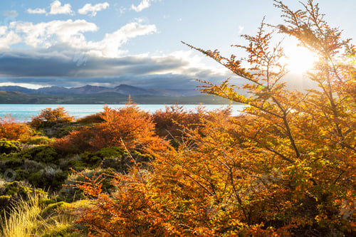 Preview: Autumn lake