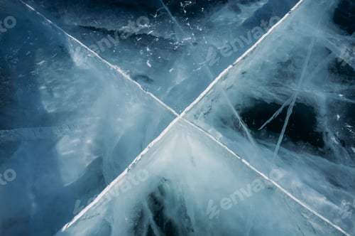 Preview: close up of ice layer over twigs of trees, Russia, Lake Baikal