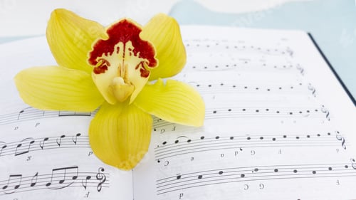 Preview: Love for music, songwriter.
A yellow orchid flower lies on an open book with music.