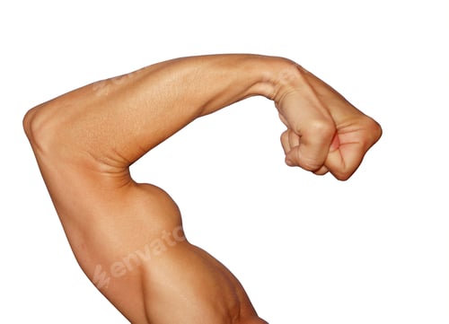 Preview: Biceps