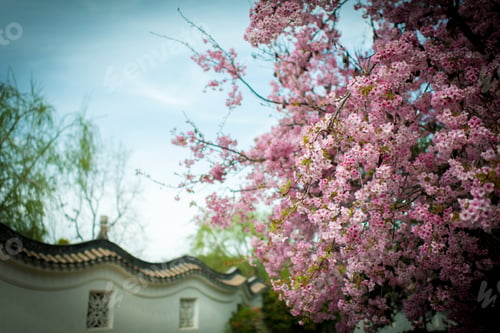 Preview: Spring Garden tree with pink flowers