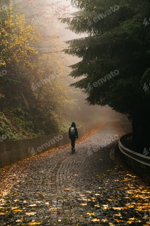 Preview: Woman walking on a paved road, along an autumnal scenery.