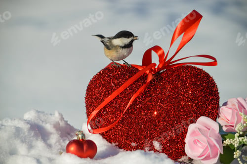 Preview: Valentine's Day