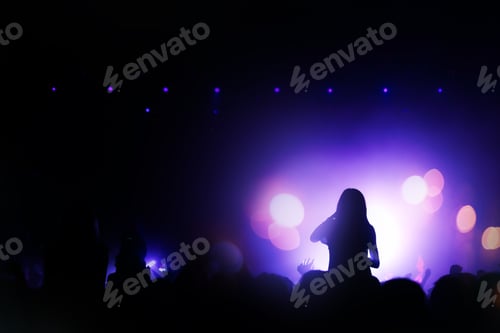 Preview: People partying at a concert