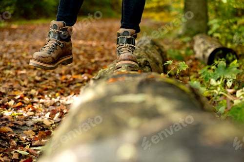 Preview: Low section of a woman balancing in a forest on a tree trunk in autumn
