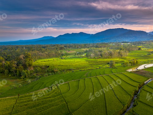 Preview: beautiful morning view indonesia panorama landscape paddy fields