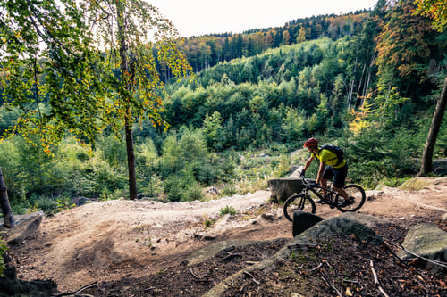 Preview: Mountain biker riding cycling in autumn forest