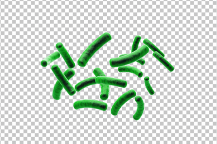 Preview: Gut Bacteria 3D Icon