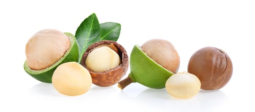 Preview: macadamia nuts isolated on white