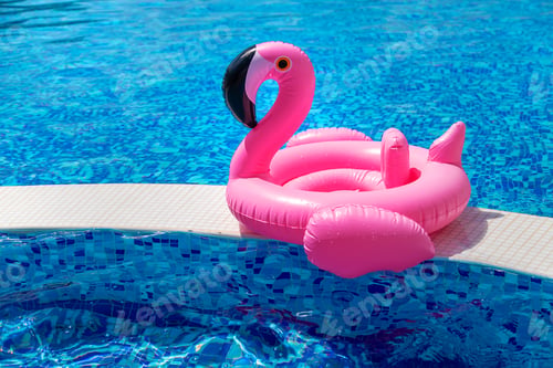Preview: Circle of flamingos in the pool. Selective focus.