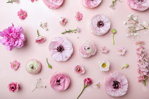 Preview: Floral arrangments of tender ranunculus flowers