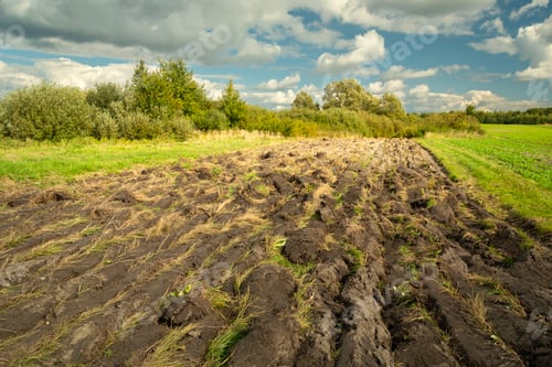 Preview: Plowed meadow, bushes and white clouds in the blue sky