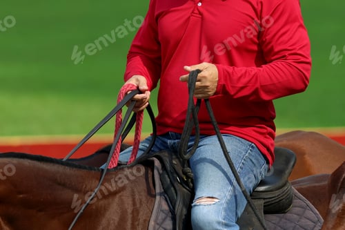 Preview: Rider holding the reins of his horse
