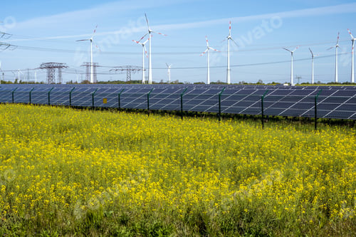 Preview: Flowering canola field with alternative energy production